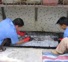 高清圖片在防水補漏中的應用